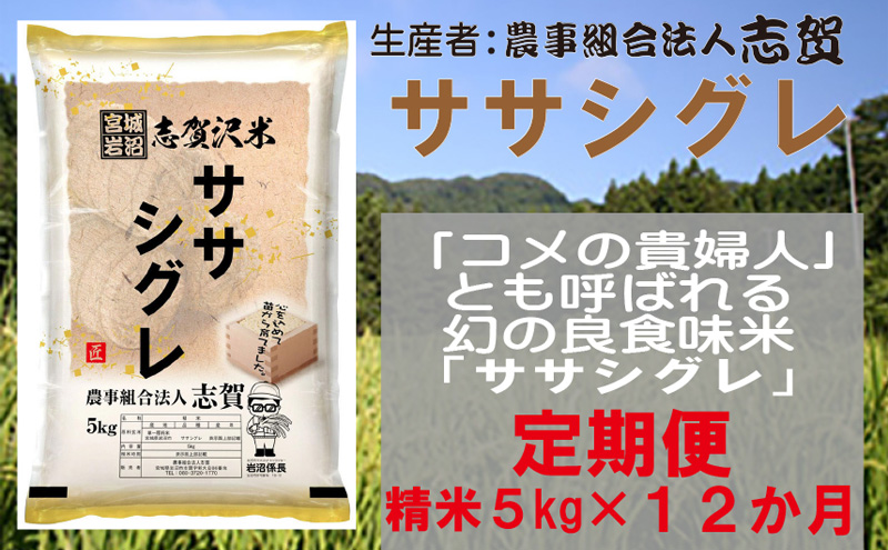 【12ヶ月定期便】宮城県岩沼市産 ササシグレ 精米5kg