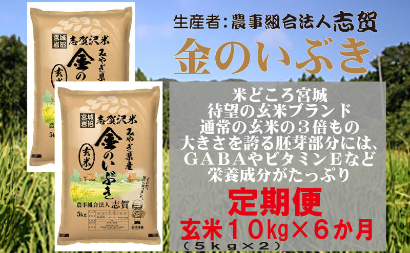 【6ヶ月定期便】宮城県岩沼市産 金のいぶき 玄米10kg(5kg×2）
