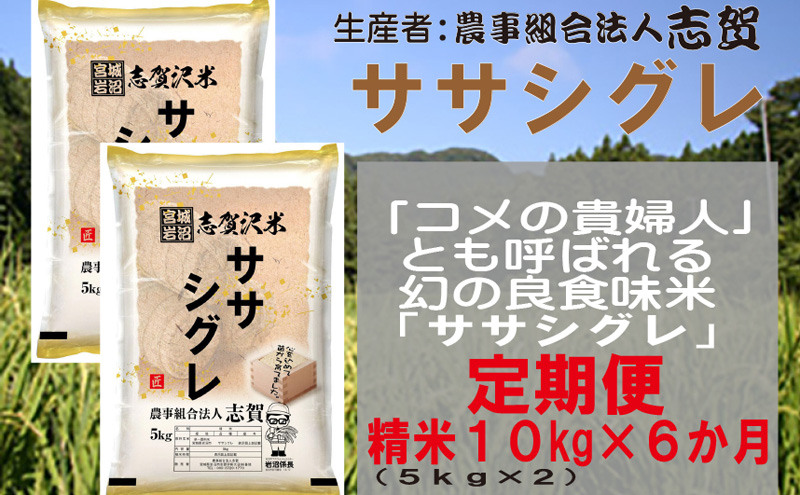 【6ヶ月定期便】宮城県岩沼市産 ササシグレ 精米10kg(5kg×2）