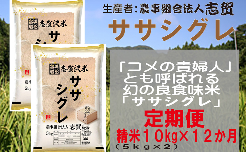 【12ヶ月定期便】宮城県岩沼市産 ササシグレ 精米10kg(5kg×2）