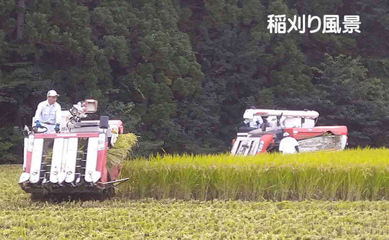 宮城県岩沼市産 志賀沢米 金のいぶき 玄米2kg 