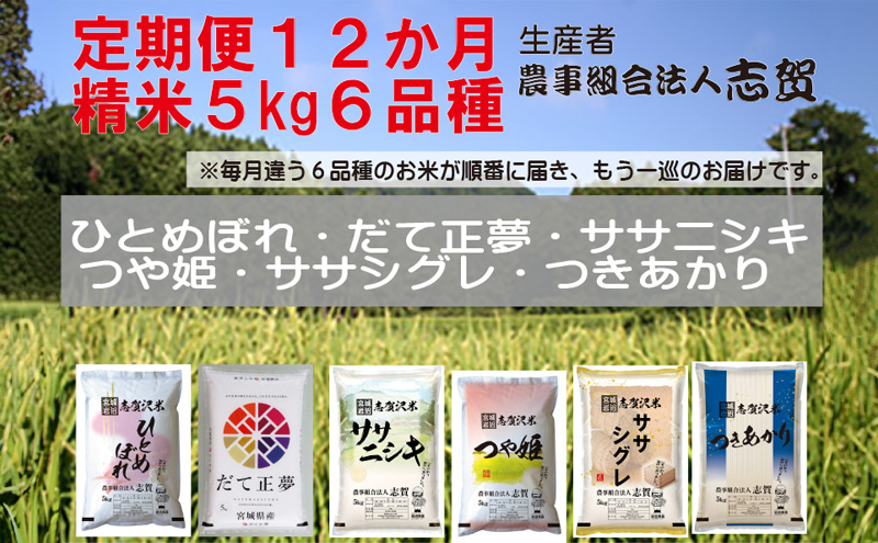 食べ比べ！【12ヶ月定期便】宮城県岩沼市産のお米 5kg サブスク　