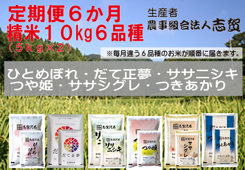 食べ比べ！【6ヶ月定期便】宮城県岩沼市産のお米 10kg サブスク　