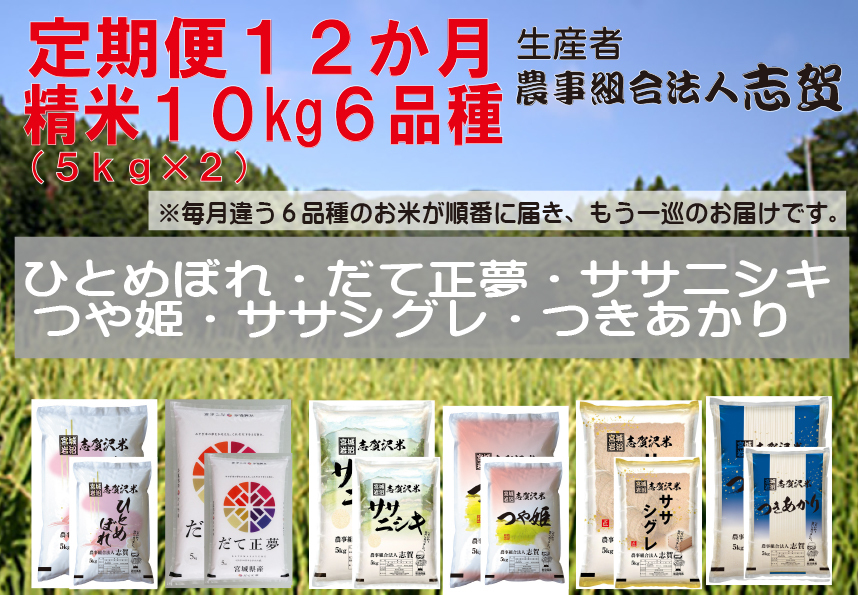 食べ比べ！【12ヶ月定期便】宮城県岩沼市産のお米 10kg サブスク　