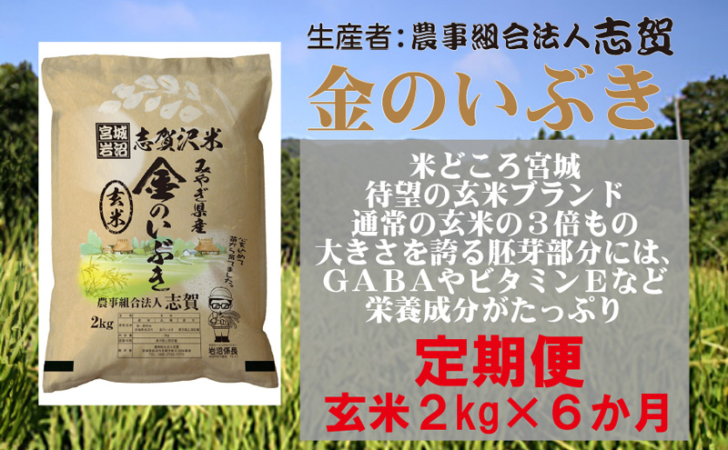 【6ヶ月定期便】宮城県岩沼市産 金のいぶき 玄米2kg