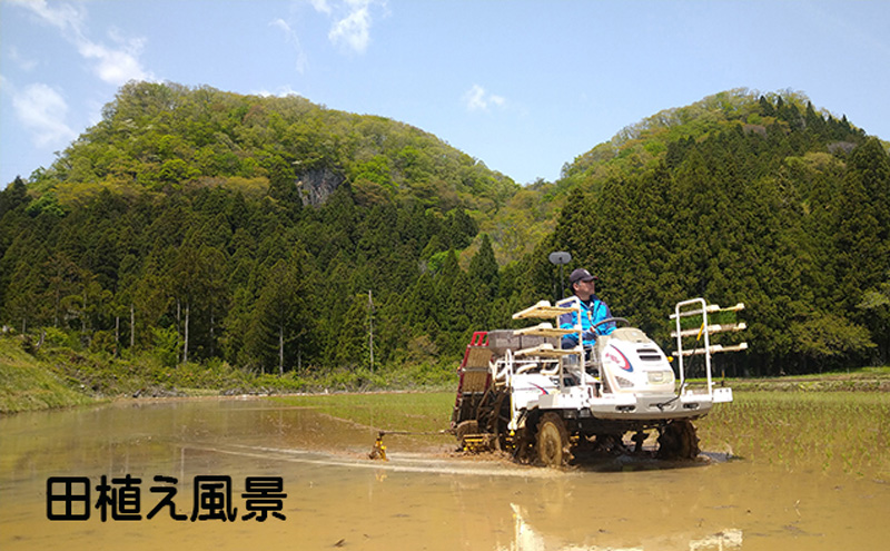 【6ヶ月定期便】宮城県岩沼市産 志賀沢米 金のいぶき 玄米2kg