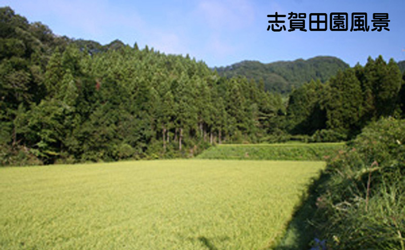 【6ヶ月定期便】宮城県岩沼市産 志賀沢米 金のいぶき 玄米2kg