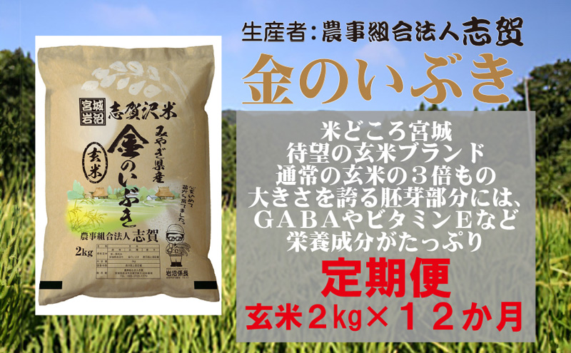 【12ヶ月定期便】宮城県岩沼市産 金のいぶき 玄米2kg
