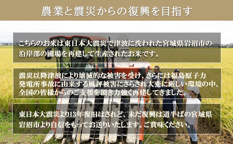 定期便 6回 (6か月間定期便) 令和6年度 宮城県産 ひとめぼれ 5kg お米 こめ コメ