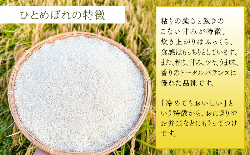 米 令和6年度 宮城県産 ひとめぼれ 5kg お米 こめ コメ