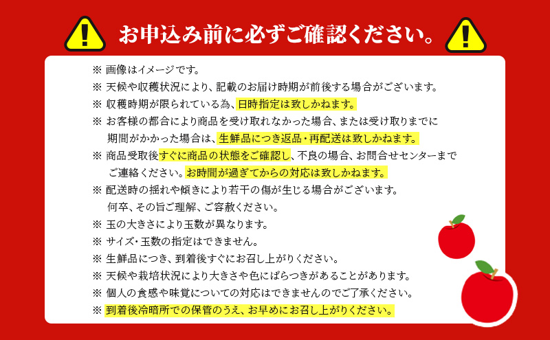 【11月中旬より発送予定】宮城県 岩沼市産 りんご ふじ 約5kg