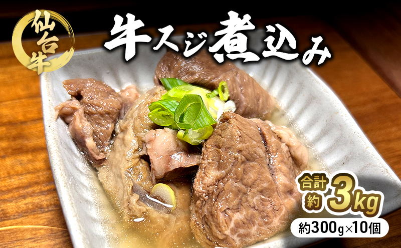 仙台牛 牛スジ煮込み 300g 10個セット 冷凍発送　牛肉