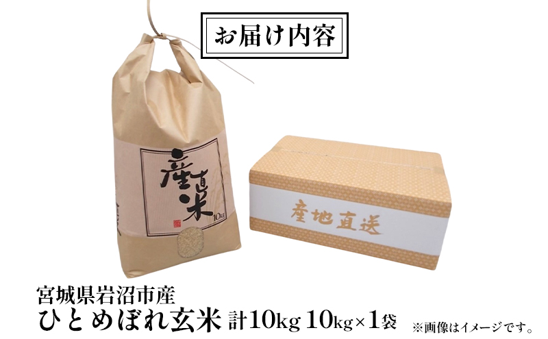 【宮城県岩沼市産】ひとめぼれ玄米 10kg お米 こめ コメ