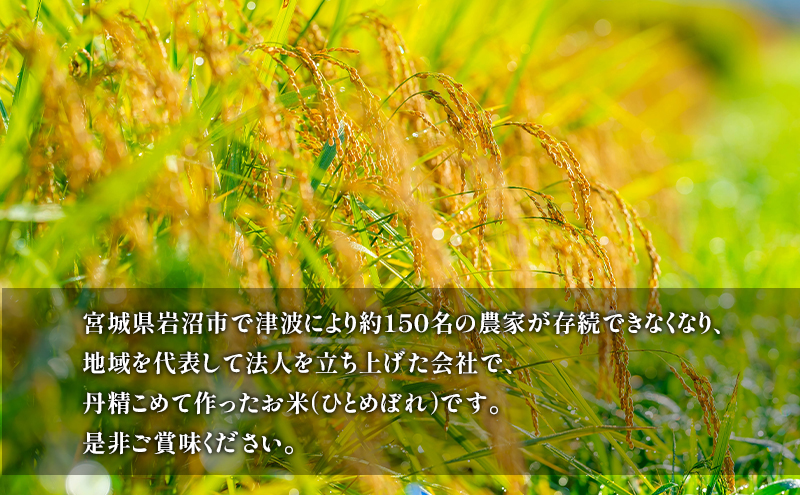 【宮城県岩沼市産】ひとめぼれ玄米 5kg お米 こめ コメ