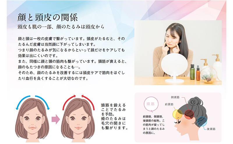 モッサーモ 電気ブラシ どか 