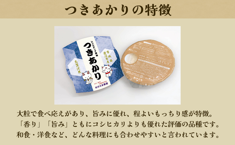 レトルト つきあかり 志賀沢米レンジアップごはん12個セット 常温 常温保存 レトルト食品 パックご飯 パックごはん ごはん ご飯