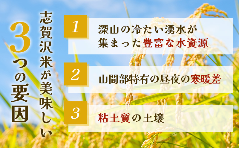 【 令和7年産 】6ヵ月 定期便 ひとめぼれ 志賀沢米 レンジアップごはん 20個 セット お米 米 精米 パックごはん