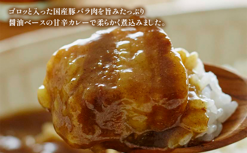 【定期便2回】カレー 豚の角煮カレー 10個 セット NISHIKIYA KITCHEN レトルト レトルト食品 非常食 備蓄 贈り物 プレゼント ギフト 贈答品 ニシキヤキッチン にしき ニシキ にしき食品 岩沼