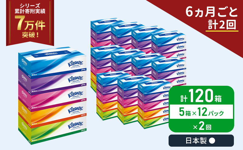 定期便 ティッシュ クリネックス ティシュー 1ケース (5箱入×12パック)《6ヶ月ごと計2回》 ティッシュペーパー セット 柔らかい 節約 日用品 日用雑貨 備蓄 備蓄品 備蓄用 防災 災害 ボックスティッシュ  ペーパー 宮城 岩沼市