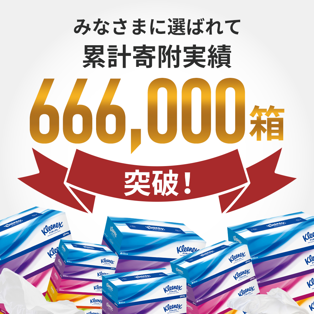 定期便 ティッシュ クリネックス 1ケース ( 5箱入 × 12パック)《4ヶ月ごと計  3回》 ティッシュ セット