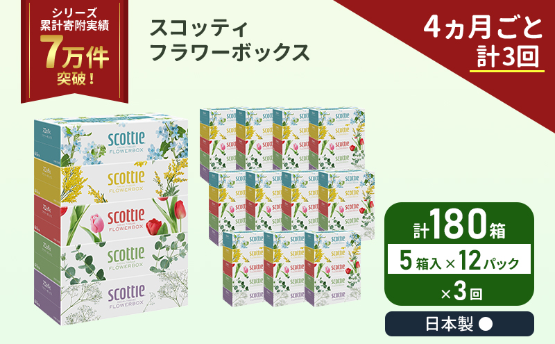 定期便 ティッシュ スコッティ フラワーボックス 180箱 (5箱×12パック)《4ヶ月ごと計3回》 ティッシュペーパー ティシューペーパーボックスティッシュ ボックスティシュー ティシュペーパー 防災 災害 日用品 生活用品 生活必需品 宮城県 岩沼市