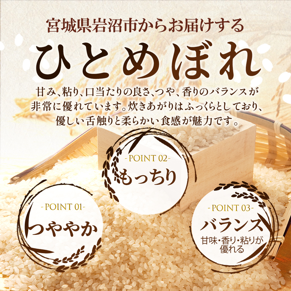 【 令和7年産/ 2ヶ月連続定期便 】 無洗米 ひとめぼれ 5kg × 2回 岩沼産 白米 東北 宮城県産 宮城米