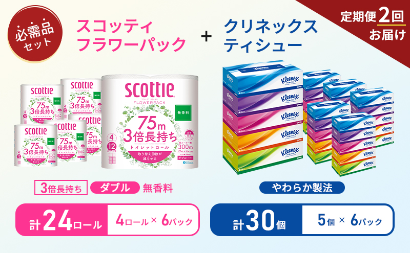 【 6ヶ月ごと計 2回お届け 】ティッシュ クリネックス 5箱入 × 6パック トイレットペーパー ダブル スコッティ 3倍長持ち 4ロール × 6パック フラワーパック