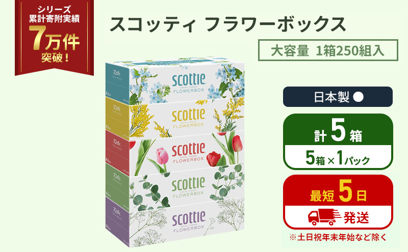 ティッシュ スコッティ フラワーボックス 5箱 ( 5箱 × 1パック)