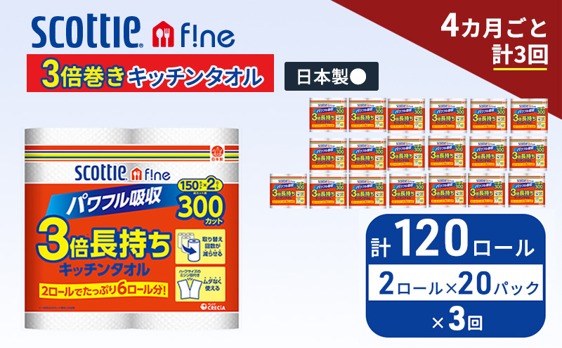 定期便 キッチンペーパー スコッティ 120ロール ファイン キッチンタオル 3倍巻き 150カット ペーパータオル 2ロール × 20パック《 4ヶ月ごと計3回 》