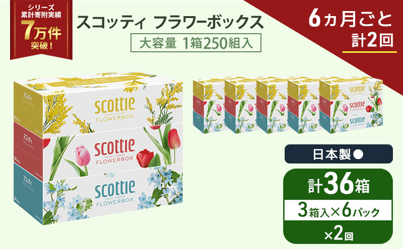 定期便 ティッシュ スコッティ フラワーボックス 3箱 × 6 パック《 6ヶ月ごと計 2回 》ティッシュセット