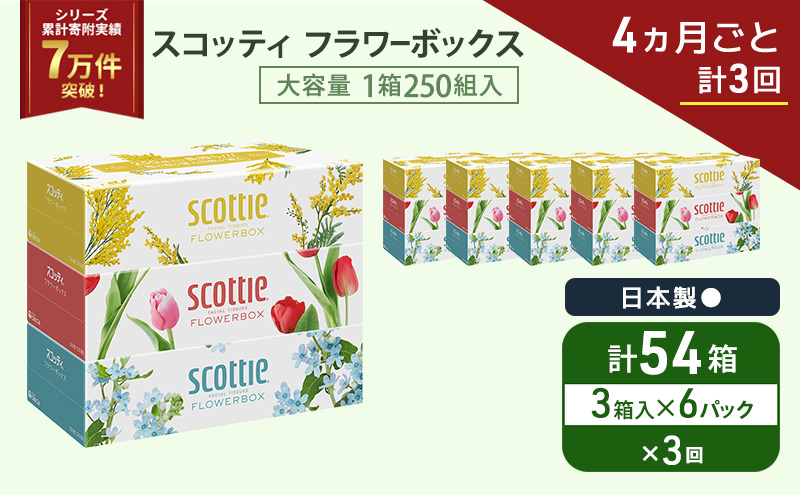 定期便 ティッシュ スコッティ フラワーボックス 3箱 × 6 パック《 4ヶ月ごと計 3回 》ティッシュセット