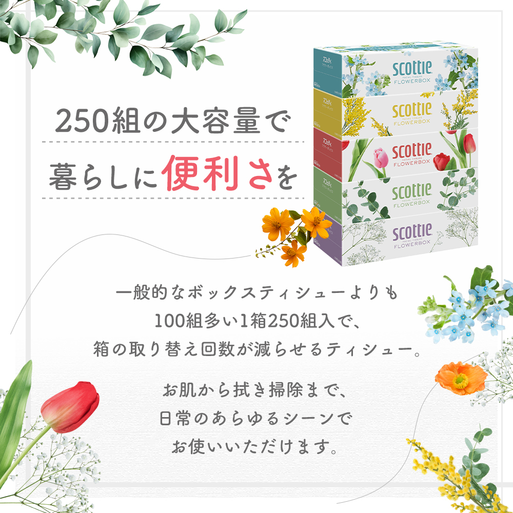 定期便 ティッシュ スコッティ フラワーボックス 3箱 × 12 パック《 3ヶ月ごと計 4回 》ティッシュセット
