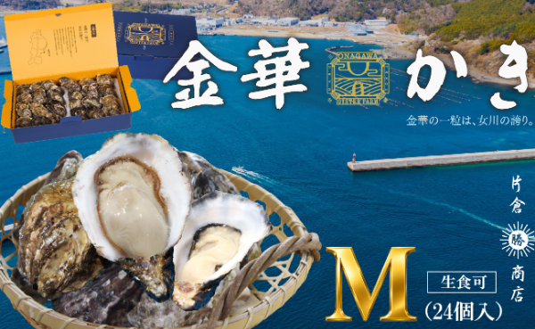 金華かき 女川オイスターファーム レギュラーサイズ 生食可