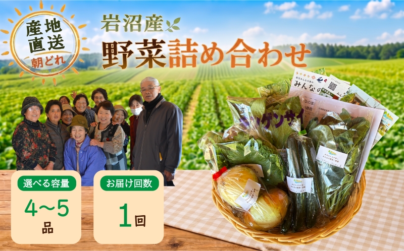宮城県 岩沼産 産地直送 朝どれ 新鮮野菜 4～5種類 詰め合わせセット