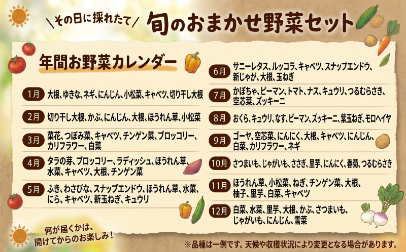 宮城県 岩沼産 産地直送 朝どれ 新鮮野菜 4～5種類 詰め合わせセット