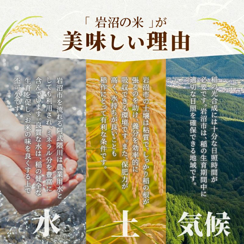 【 令和8年産 】 新米 宮城県産 ササニシキ 精米 10kg (5kg×2袋) 先行予約 単品 一等米 米 令和8年産 東北米 ふるさと納税 米 お米 白米 新米予約 コメ ライス ご飯 米10kg 10キロ ごはん 美味しい 国産 宮城県 岩沼市 kome okome お取り寄せ 産地直送 東北