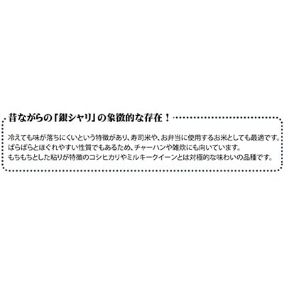 2023年5月発送開始『定期便』宮城県登米市産ササニシキ(精米)27kg　全6回【5146911】