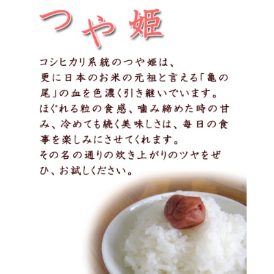 令和5年産　宮城県登米市産　食べ比べセット10kg(ササニシキ・つや姫 精米 各5kg)【1261124】