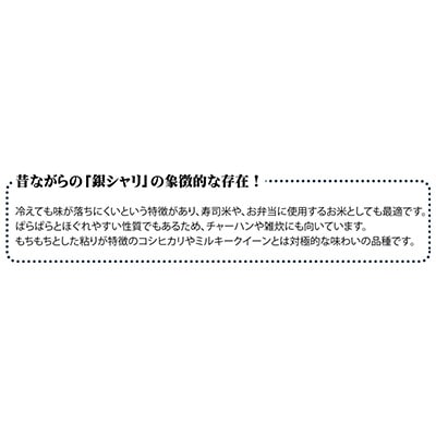 2023年9月発送開始『定期便』宮城県登米市産ササニシキ(玄米)30kg　全12回【5146951】