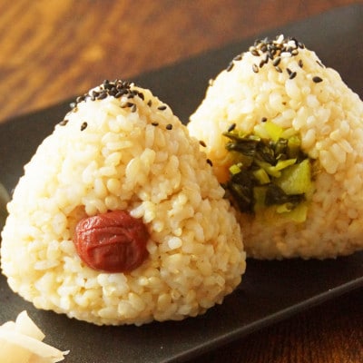 宮城県登米市産 ひとめぼれ 玄米 10kg【令和7年産】【1638015】