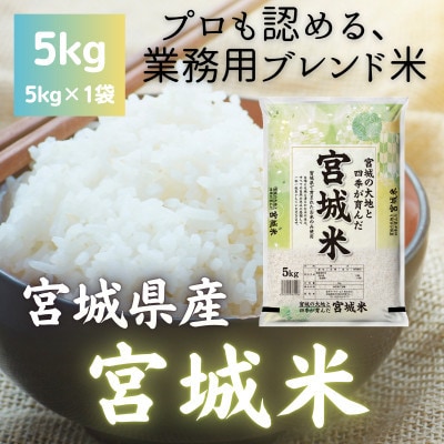 【毎月定期便】宮城県産ブレンド米　宮城米(精米)5kg全12回【4092787】