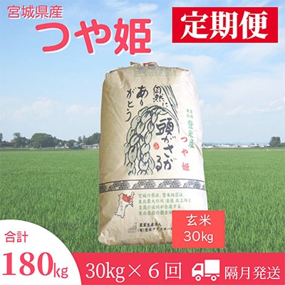 2023年7月発送開始『定期便』宮城県登米市産つや姫(玄米)30kg　全6回【5146877】