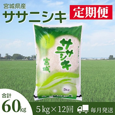 2023年9月発送開始『定期便』宮城県登米市産ササニシキ精米5kg　全12回【5146903】