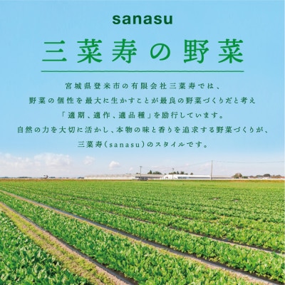 旬の新鮮野菜セット Lサイズ(5種類以上/10〜12パック)【配送不可地域：離島】【1556532】