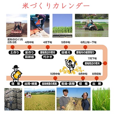 2024年1月発送開始『定期便』宮城県登米市産ササニシキ(精米)27kg　全6回【5146919】