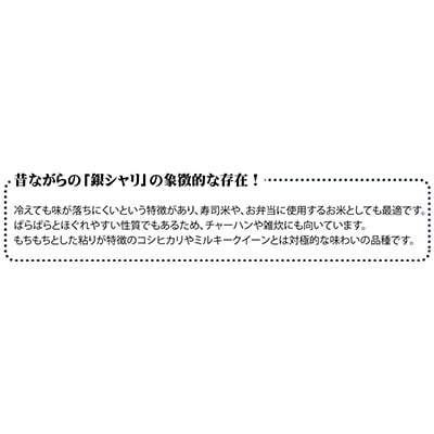 2023年7月発送開始『定期便』宮城県登米市産ササニシキ精米5kg　全12回【5146901】