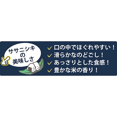 2024年3月発送開始『定期便』食べ比べセット(ササニシキ・つや姫 精米 各5kg)全12回【5146792】