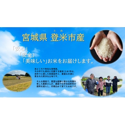 【精米】令和7年宮城県登米市産「ササニシキ」5kg×2袋 合計10kgセット【1674242】