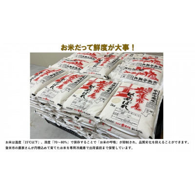 【新米】令和6年宮城県登米市産「ひとめぼれ」5kg×2袋 合計10kgセット【1379066】