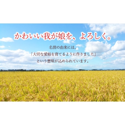 令和4年産　宮城県登米市産まなむすめ(玄米)30kg【1261116】